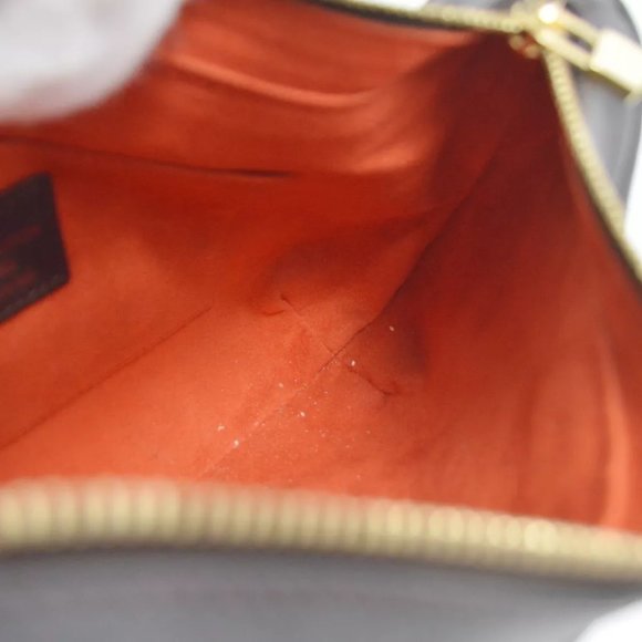 Louis Vuitton Damier Sauvage Tiger Handbag - Picture 7 of 10